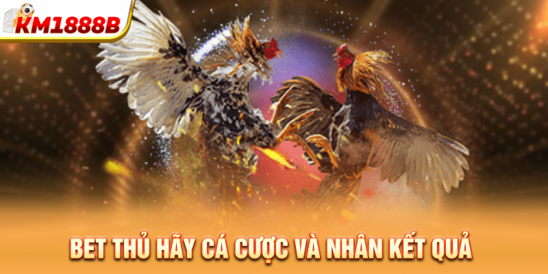 Bet thủ hãy cá cược và nhân kết quả 