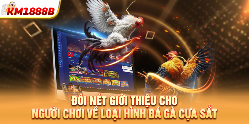 doi net gioi thieu cho nguoi choi ve loai hinh da ga cua sat