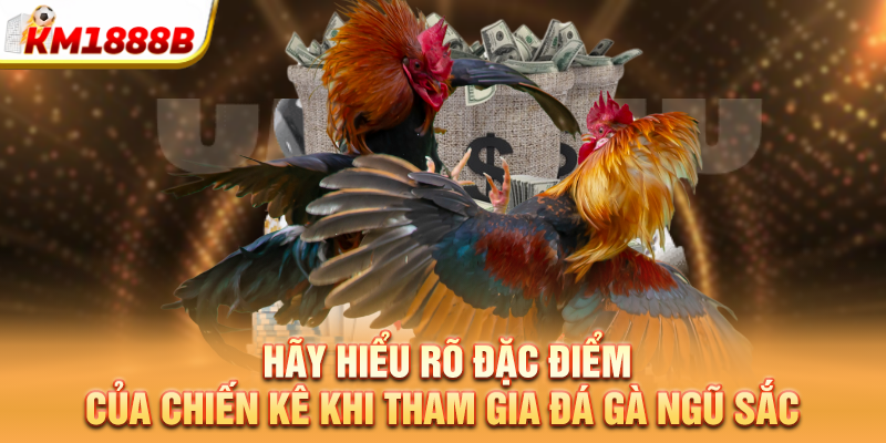 Hãy hiểu rõ đặc điểm của chiến kê khi tham gia đá gà ngũ sắc
