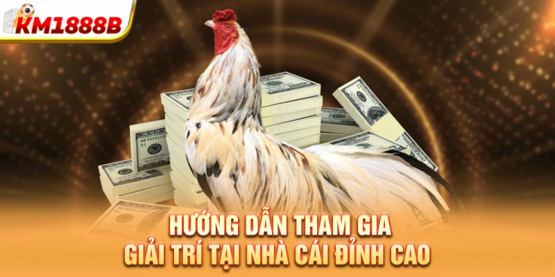 Hướng dẫn tham gia giải trí tại nhà cái đỉnh cao
