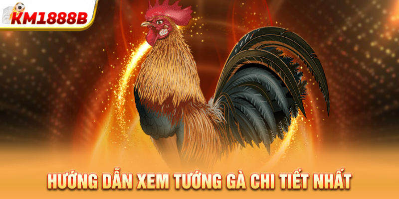 huong dan xem tuong ga chi tiet nhat