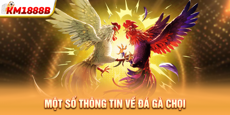 mot so thong tin ve da ga choi