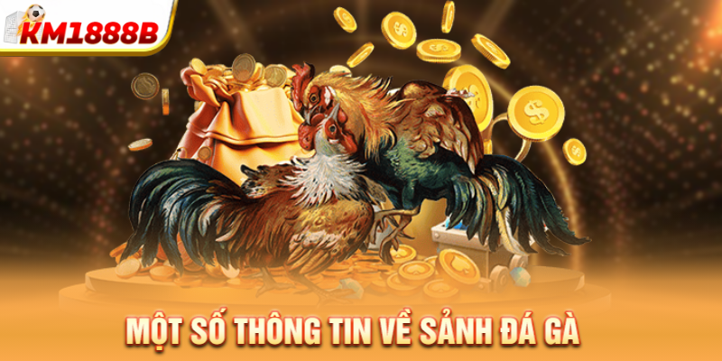 Một số thông tin về sảnh đá gà