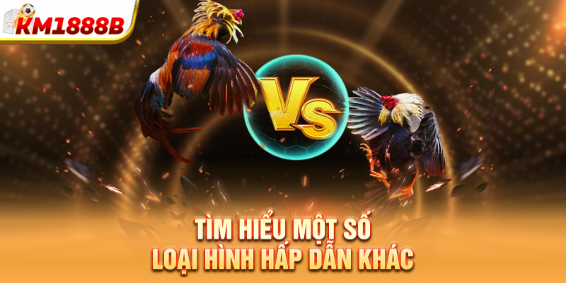 Tìm hiểu một số loại hình hấp dẫn khác