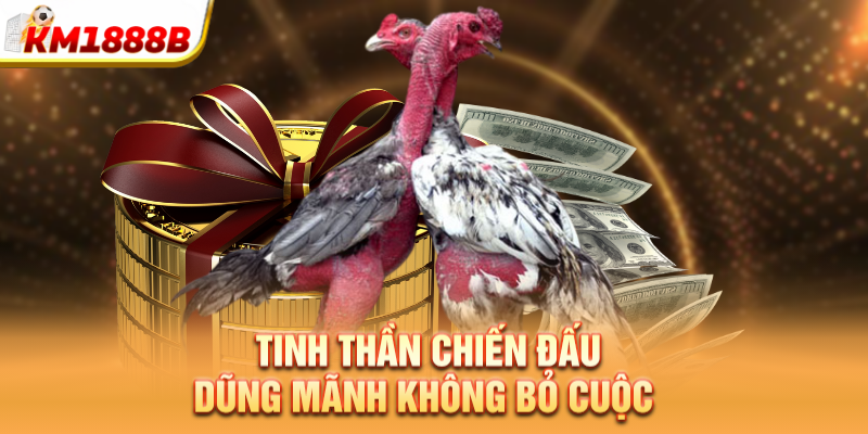 Tinh thần chiến đấu dũng mãnh không bỏ cuộc