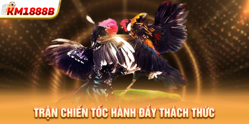 Trận chiến tốc hành đầy thách thức