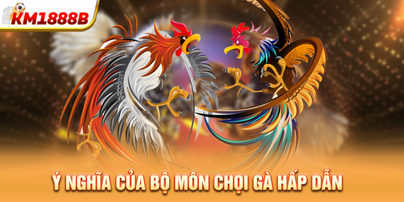 Ý nghĩa của bộ môn chọi gà hấp dẫn